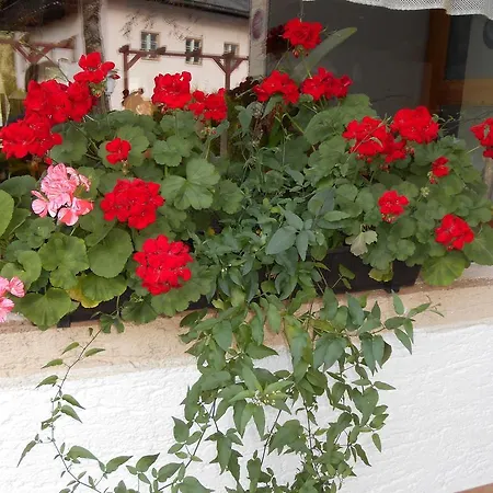 Traube Apartamento
