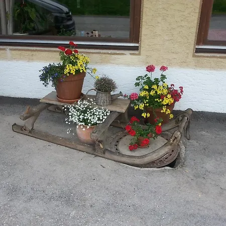 Traube Apartamento *