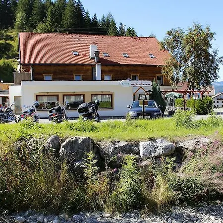Traube